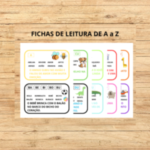FICHAS DE LEITURA